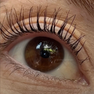 lashgro lash growth serum results australia